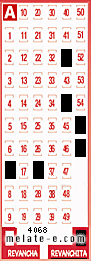 Volante ganador del sorteo 4068 de Revanchita