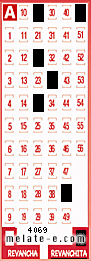 Volante ganador del sorteo 4069 de Revanchita