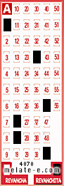 Volante ganador del sorteo 4070 de Revanchita