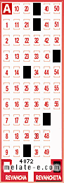 Volante ganador del sorteo 4072 de Revanchita
