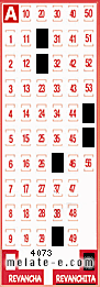 Volante ganador del sorteo 4073 de Revanchita