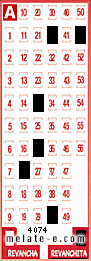 Volante ganador del sorteo 4074 de Revanchita