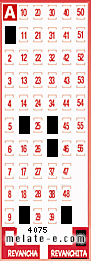 Volante ganador del sorteo 4075 de Revanchita