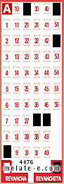 Volante ganador del sorteo 4076 de Revanchita