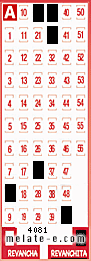 Volante ganador del sorteo 4081 de Revanchita