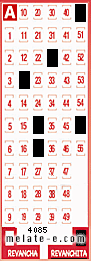 Volante ganador del sorteo 4085 de Revanchita
