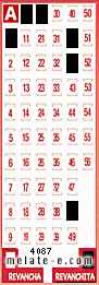 Volante ganador del sorteo 4087 de Revanchita