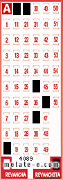 Volante ganador del sorteo 4089 de Revanchita
