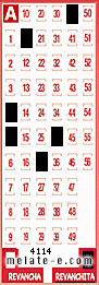 Volante ganador del sorteo 4114 de Revanchita