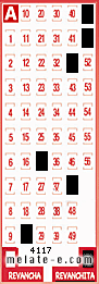 Volante ganador del sorteo 4117 de Revanchita