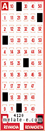 Volante ganador del sorteo 4120 de Revanchita
