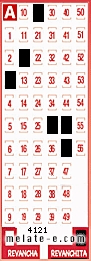 Volante ganador del sorteo 4121 de Revanchita