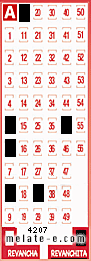 Volante ganador del sorteo 4207 de Revanchita