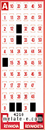 Volante ganador del sorteo 4210 de Revanchita