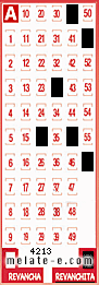 Volante ganador del sorteo 4213 de Revanchita