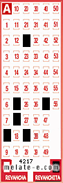 Volante ganador del sorteo 4217 de Revanchita