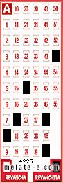 Volante ganador del sorteo 4225 de Revanchita