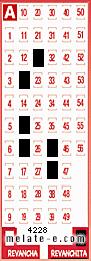 Volante ganador del sorteo 4228 de Revanchita