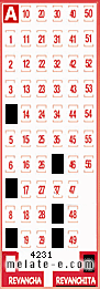 Volante ganador del sorteo 4231 de Revanchita