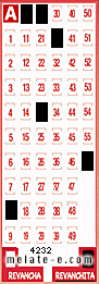 Volante ganador del sorteo 4232 de Revanchita
