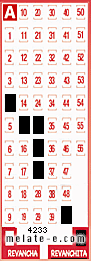 Volante ganador del sorteo 4233 de Revanchita