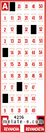 Volante ganador del sorteo 4236 de Revanchita