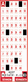 Volante ganador del sorteo 4237 de Revanchita