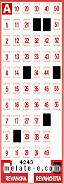 Volante ganador del sorteo 4243 de Revanchita