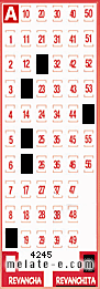 Volante ganador del sorteo 4245 de Revanchita