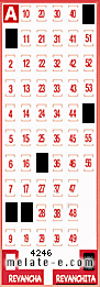 Volante ganador del sorteo 4246 de Revanchita