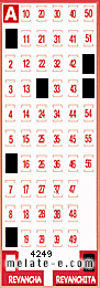 Volante ganador del sorteo 4249 de Revanchita