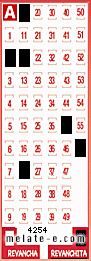 Volante ganador del sorteo 4254 de Revanchita