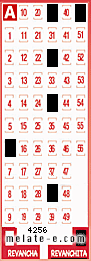 Volante ganador del sorteo 4256 de Revanchita