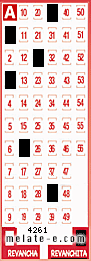 Volante ganador del sorteo 4261 de Revanchita