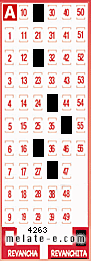 Volante ganador del sorteo 4263 de Revanchita