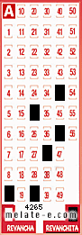 Volante ganador del sorteo 4265 de Revanchita