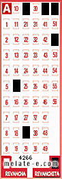 Volante ganador del sorteo 4266 de Revanchita