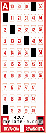 Volante ganador del sorteo 4267 de Revanchita