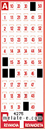 Volante ganador del sorteo 4275 de Revanchita