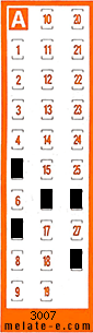 Volante ganador del sorteo 3007 de Chispazo
