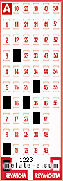 Volante ganador del sorteo 1223 de Revancha
