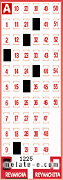 Volante ganador del sorteo 1225 de Revancha