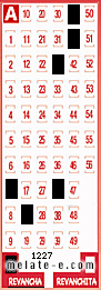 Volante ganador del sorteo 1227 de Revancha