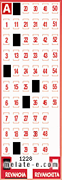 Volante ganador del sorteo 1228 de Revancha