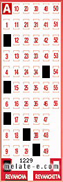 Volante ganador del sorteo 1229 de Revancha