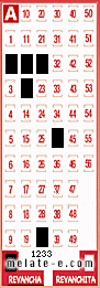 Volante ganador del sorteo 1233 de Revancha