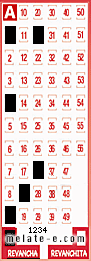 Volante ganador del sorteo 1234 de Revancha