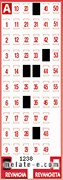 Volante ganador del sorteo 1238 de Revancha