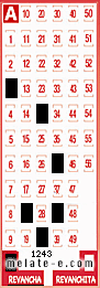 Volante ganador del sorteo 1243 de Revancha