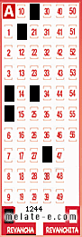 Volante ganador del sorteo 1244 de Revancha